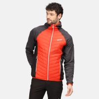 Regatta Heren Andreson V Hybrid Vest Cajun Orange Rhino Maat M