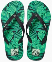 Reef Heren Seaside Prints Slippers Green Palm Maat US11 EU44